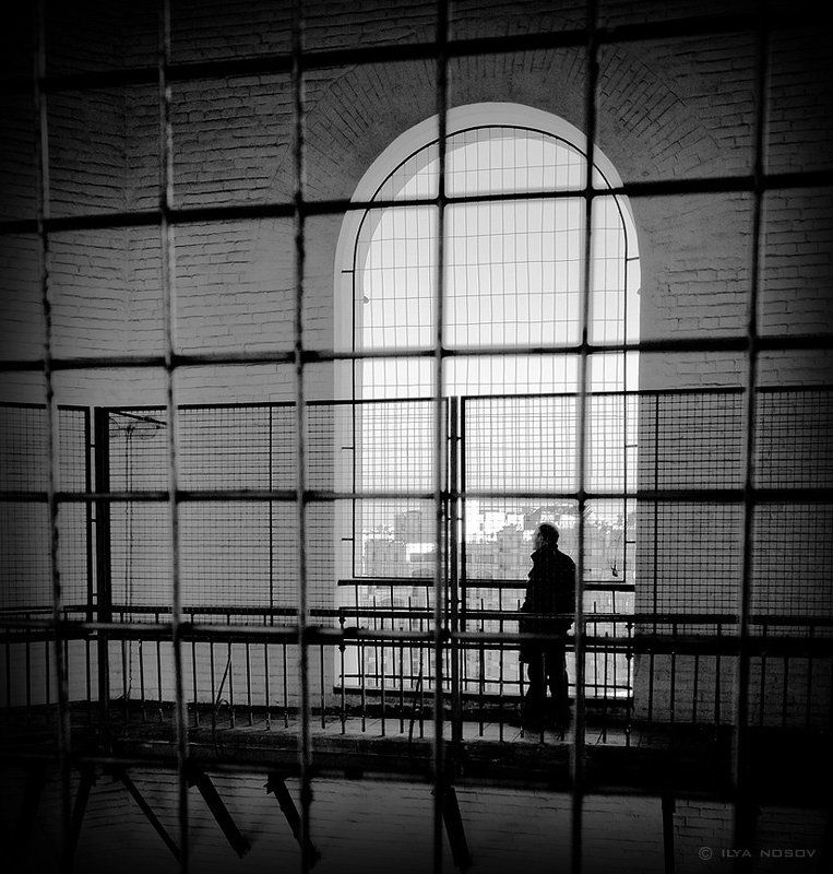 Клеткаphoto preview