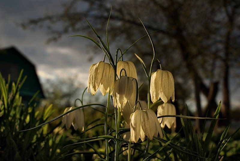 вечер, тишина, спокойствие Тихий вечерphoto preview