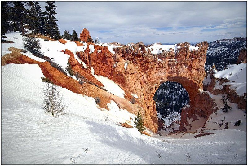 Брайсphoto preview