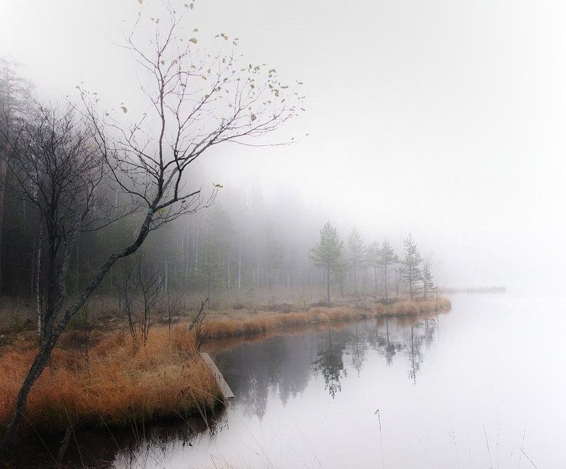 Туманphoto preview