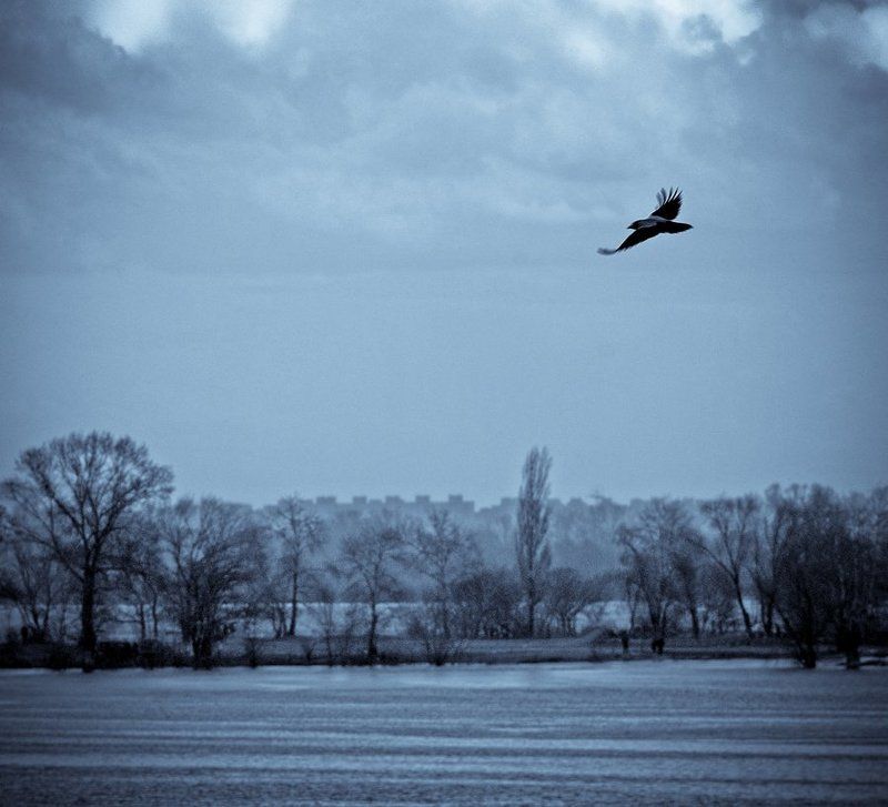 сторож снов, ворон, разлив Над разливомphoto preview