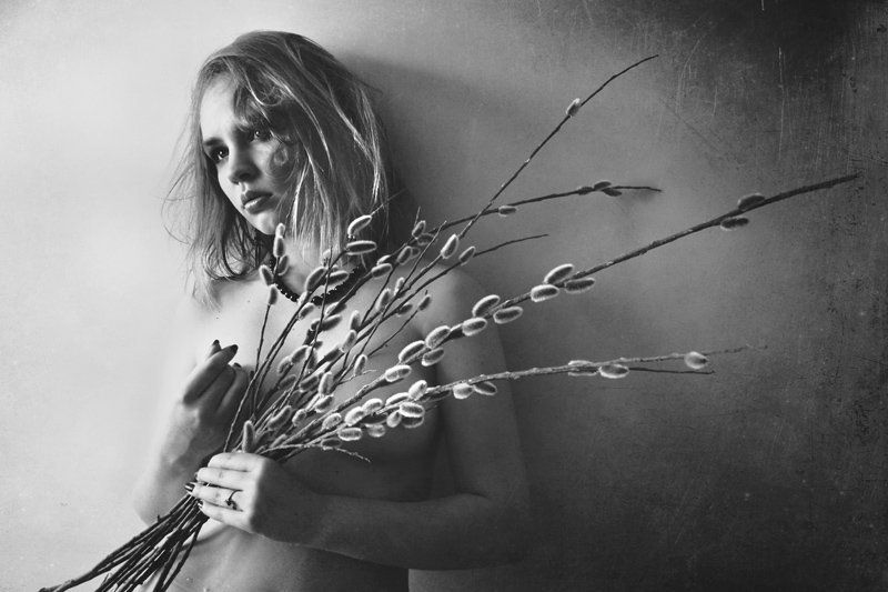 девушка, верба, свет hide uphoto preview