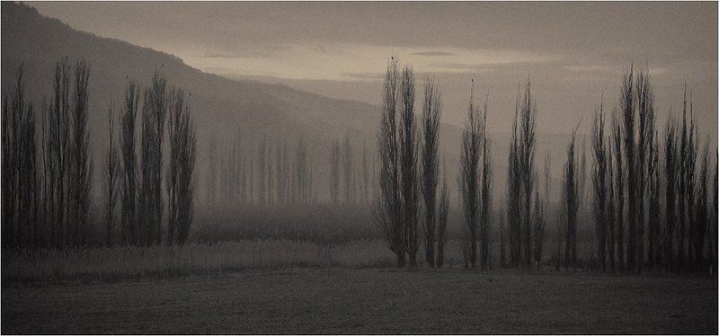 топля,вечер тихий вечер....photo preview