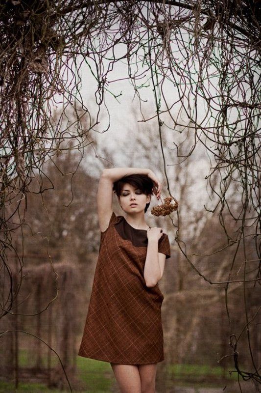 осінніми квітами проростаючи...photo preview