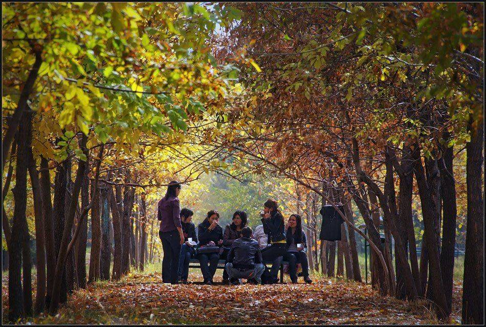 лавочка .... Автор: владимир , владимир