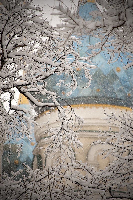 владивосток, покровский, парк, снег, апрель ***photo preview