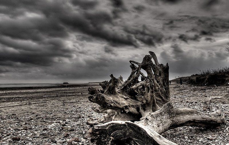 Залив китаphoto preview