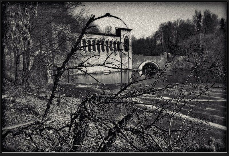 пейзаж, марфино, мост, коряга Быльем поросло...photo preview