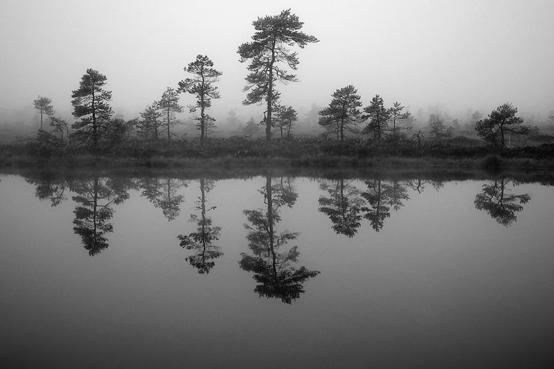 Параллельный мир.photo preview