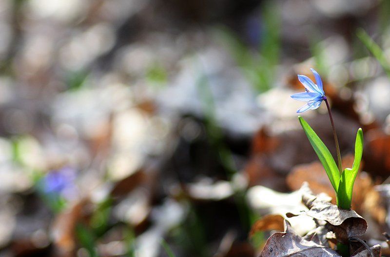 Грустит)photo preview