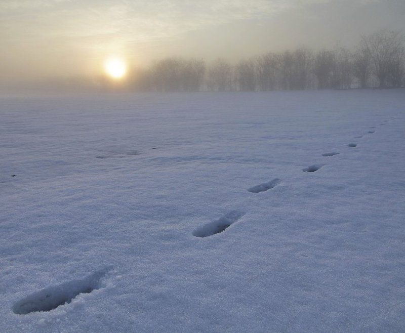 следы,уходящий,вечер уходящие.....photo preview