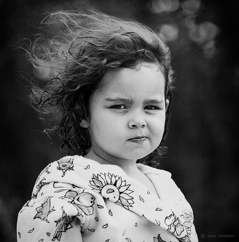 Ветерphoto preview