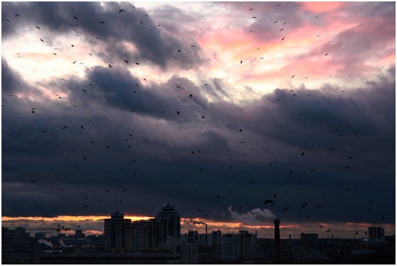 город, тучи, птицы Знамениеphoto preview