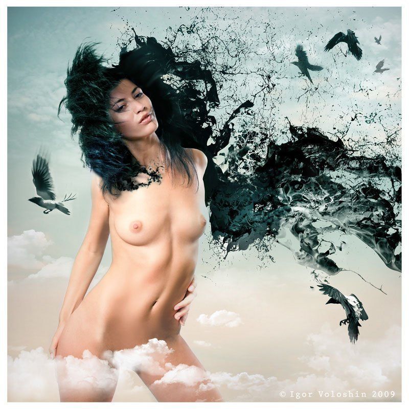 ворон фото превью