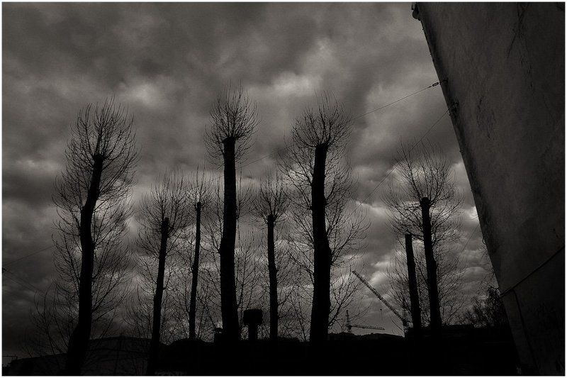 титаник, экономический, кризис, шизоидное, депрессивное На дне...photo preview