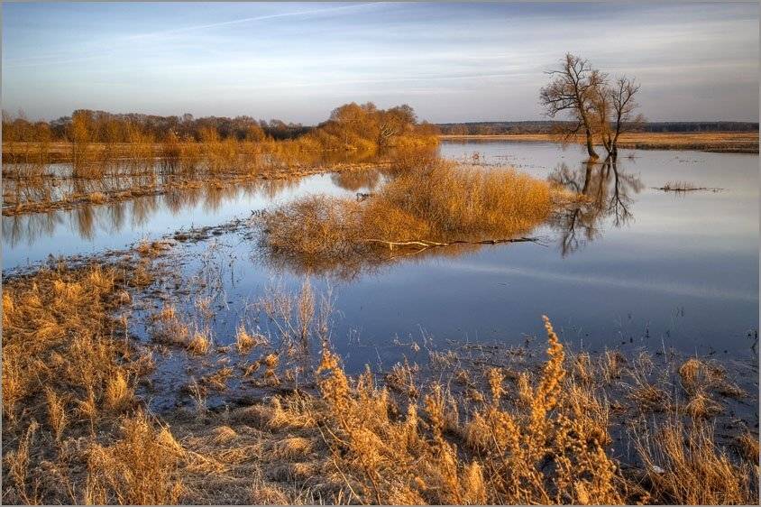 нерль, боголюбово, Екатерина (PhotoJourneys.ru) Васягина