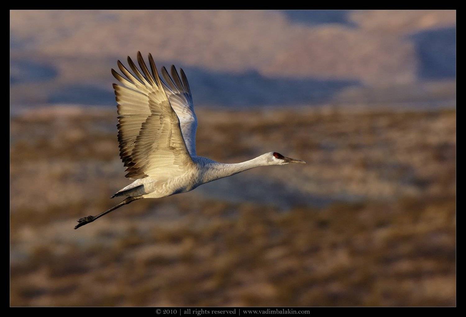 На взлёте.... Автор: Vadim Balakin , Vadim Balakin