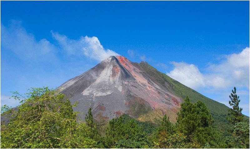 На злобу дняphoto preview