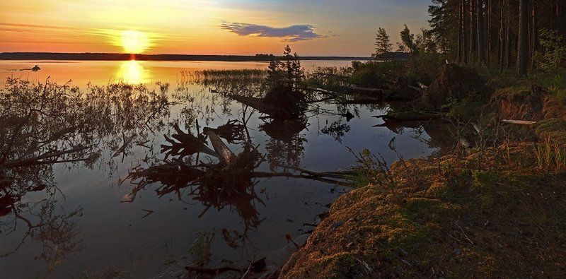 однажды утромphoto preview