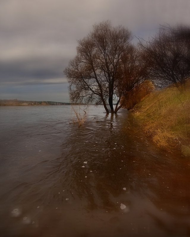 vesenneje polnovodijephoto preview