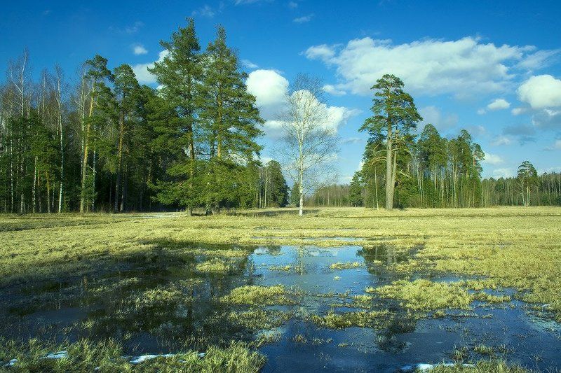 Просто апрельphoto preview