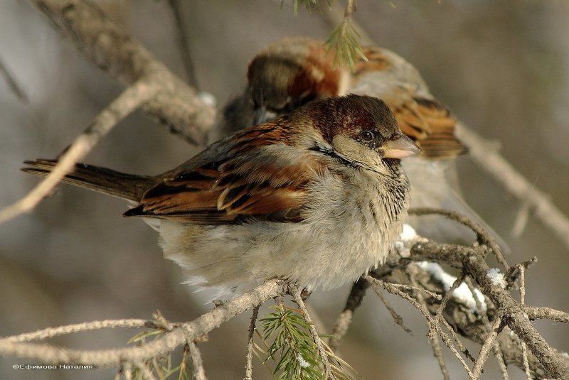 За бортом ... - 35photo preview