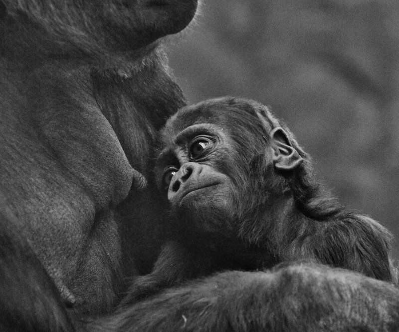 Все как у людей....photo preview