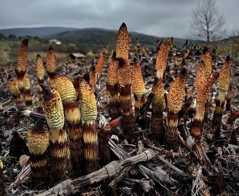 НАЧАТЬ С НУЛЯphoto preview