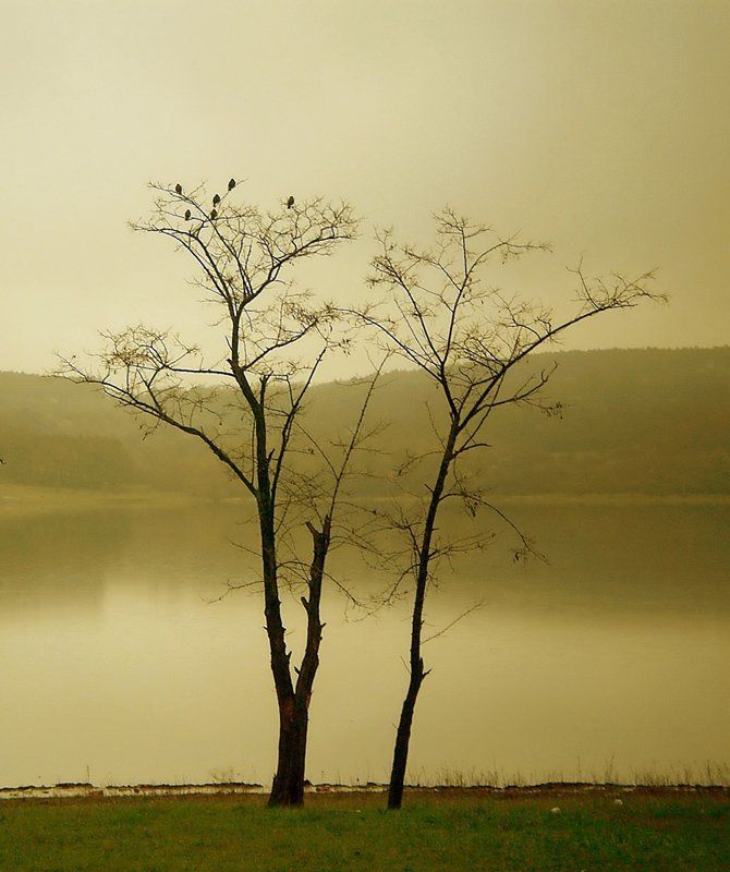 Тишинаphoto preview