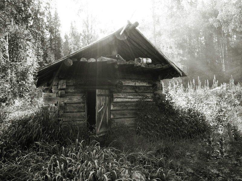 изба,избушка,лето,природа,лес,рыбалка,охота изба рыбацкаяphoto preview