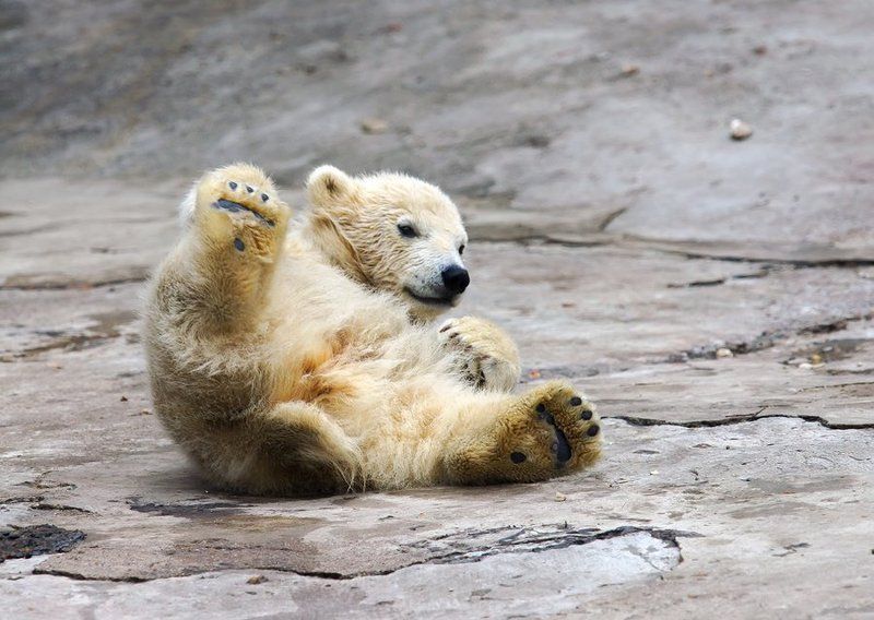 Ой...!!!photo preview