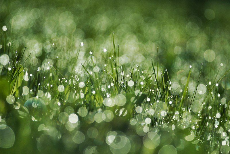 утро, свет, morning фото превью