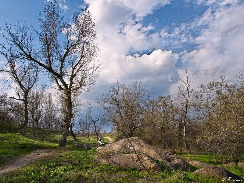 хортица,днепр,пейзаж,зима,закат,вечер ***photo preview