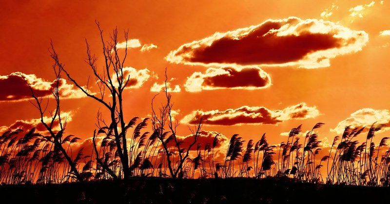 зарево, небо, ***photo preview