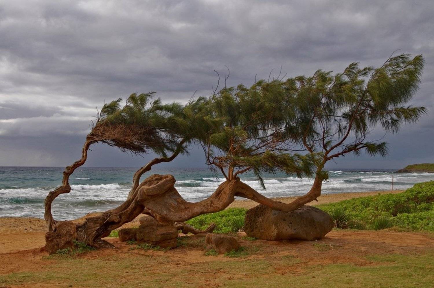 Навстречу всем ветрам. Автор: Андрей Станко станко, океан, пляж, море, небо, гавайи, Андрей Станко