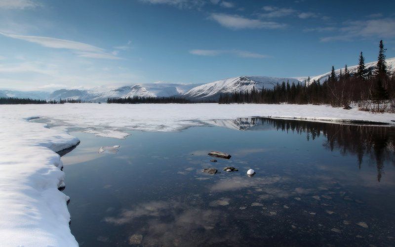 Весна идет, Весне дорогу!photo preview