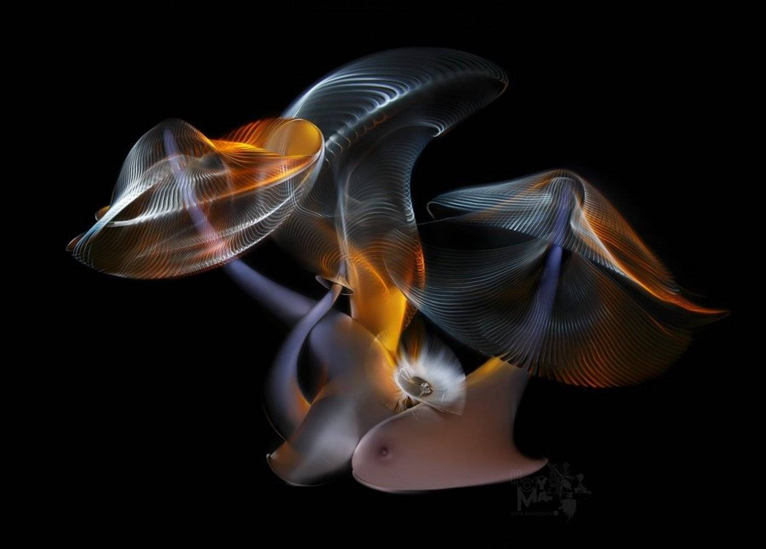 Грибки в тысячу струй... (Светографика - Витые сдвиги 2009 ). Автор: HoryMa (ХориМа) светографика, витые сдвиги, графика, портрет, история, сюжет, предметы, HoryMa (ХориМа)