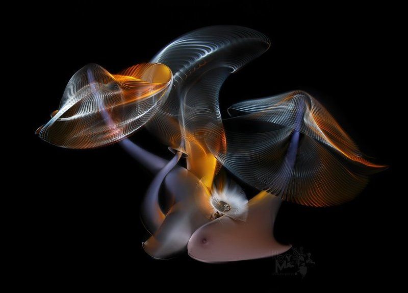 светографика, витые сдвиги, графика, портрет, история, сюжет, предметы Грибки в тысячу струй...  (Светографика - Витые сдвиги 2009 )photo preview