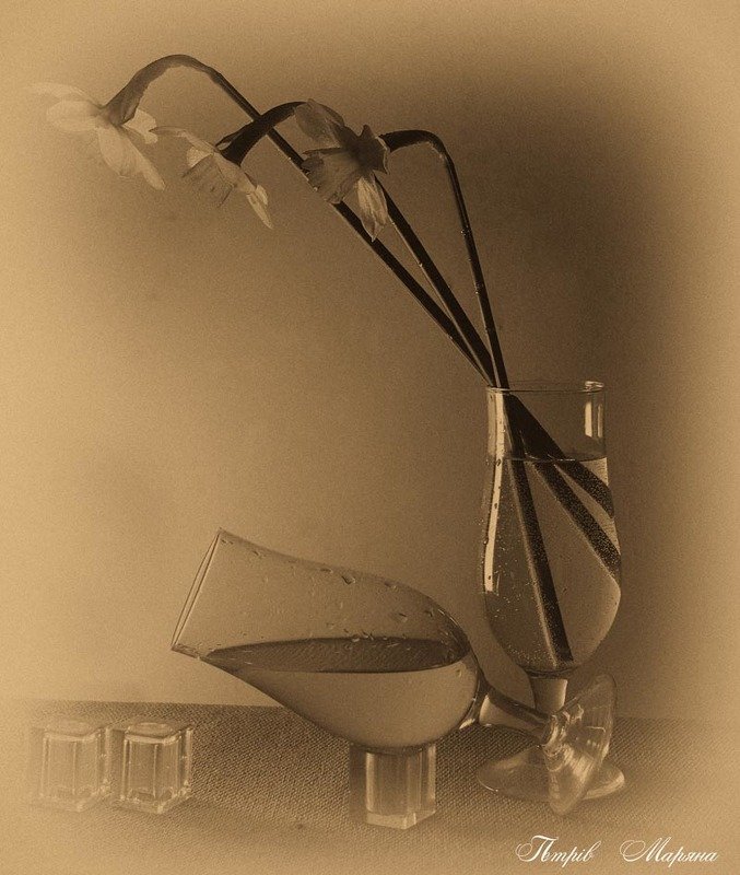 о нарцысеphoto preview