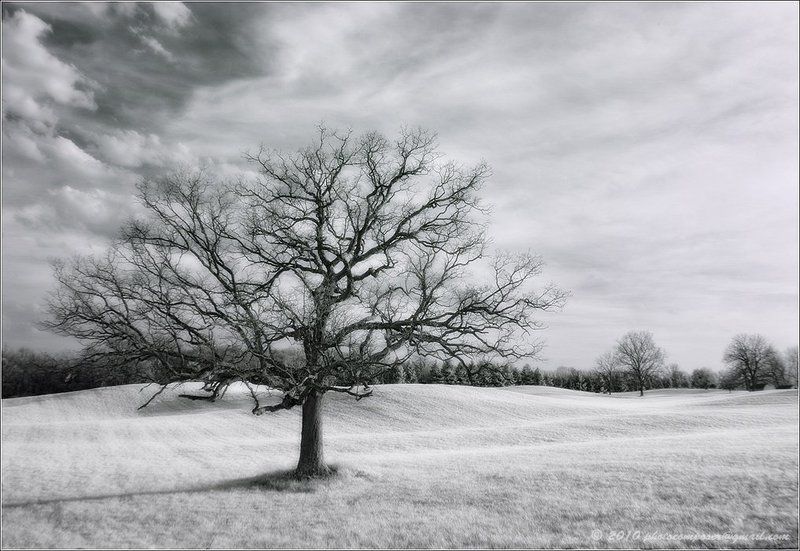 пейзаж, pilgrim, инфракрасный, infrared The fresh, white air...photo preview