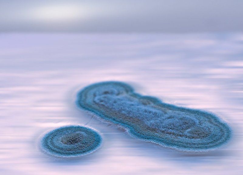 два острова в далеком океанеphoto preview