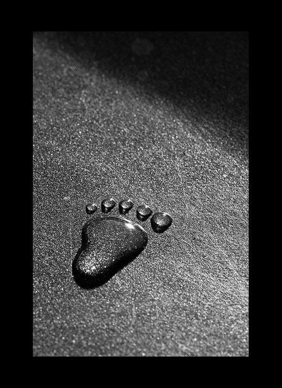 След дождяphoto preview