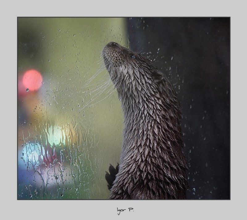 Огни большого города...photo preview