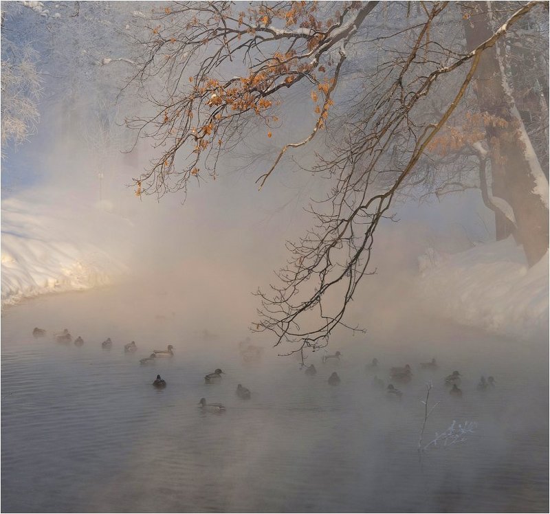 Сказочное утроphoto preview