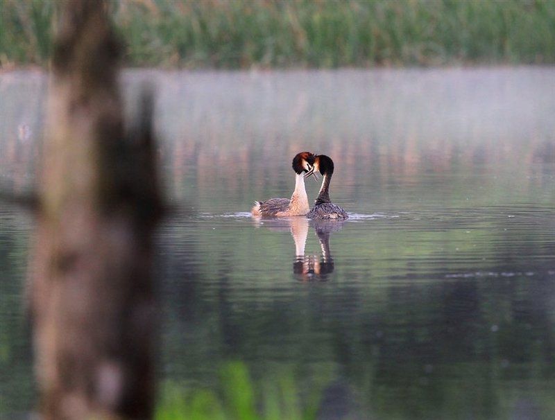 ЗНАЮ ТОЧНО  -  ЭТО ЛЮБОВЬ ...photo preview