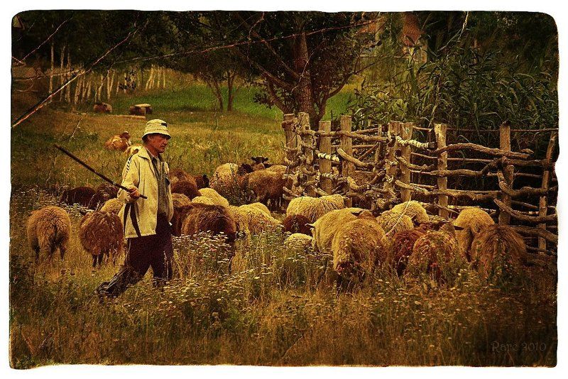 Овчарня.photo preview