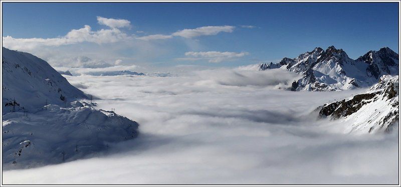 tirol, austia Белогривые лошадкиphoto preview