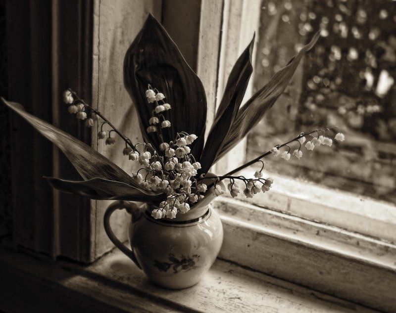 ландыши, цветы, май О светлом маеphoto preview