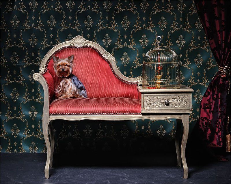 глАмурphoto preview