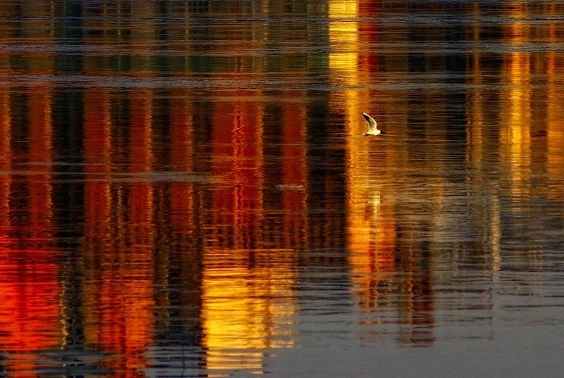 нева, вечер, краски, закат Прогулки по набережнойphoto preview